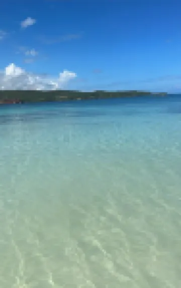 Serene Dream/ walking distance from the beach, other popular tourist attractions Hoteles en Discovery Bay