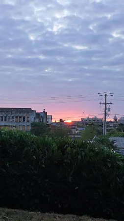 Forest Lane Escapes: Chic & Private Tiny Home Charm – Pet-Friendly & Central