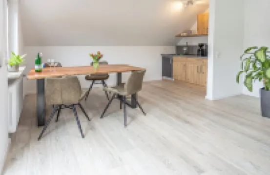 Modern apartment in a quiet location with a view of the Glatt moated castle 蘇爾茨酒店