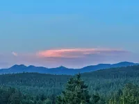 Contemporary Studio within Walking Distance of Downtown Bigfork!