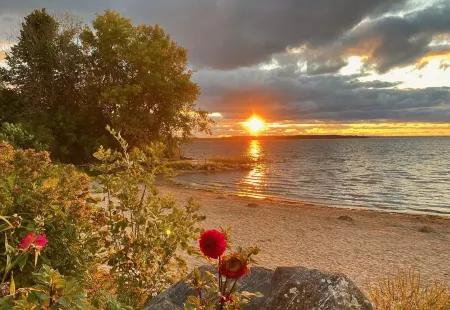 Cozy Winter Cabin, Relaxing Peace on Georgian Bay Tay Trail, Escape Busy Life. Отели в г. Уоубошин
