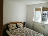 Ski slope 3 bedrooms Apartment Azuga Hotels in Azuga