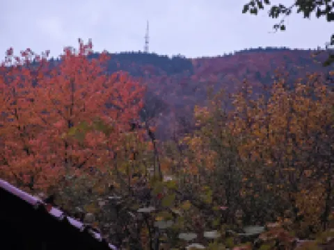 Cozy studio in brilliant Brașov with WiFi access