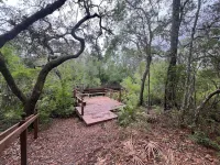 Cozy cabin in beautiful White Springs with WiFi, Hotels in Hamilton County