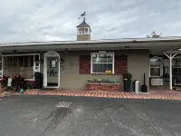 Shamrock Cove Inn Hotels near Blue Spring