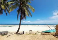Miska Zanzibar