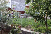 ÖZ Butik Otel Antik Kent Myrleia Hotels in Mudanya