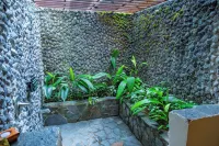 Lost Iguana Resort and Spa Hotels in 