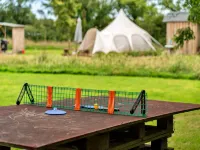 Bell Tent in Devon near Stunning Beaches