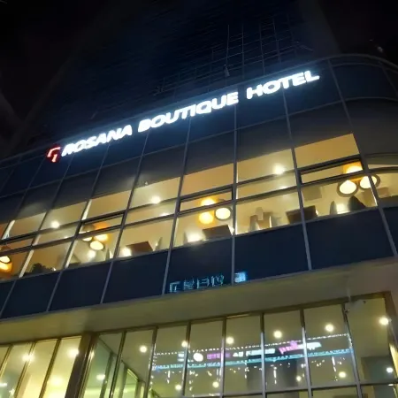 Rosana Hotel Отели рядом с достопримечательностью «Станция метро Geoyeo»