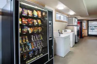 레드 루프 인 플러스+ 내쉬빌 노스 굿렛츠빌 리지탑 호텔