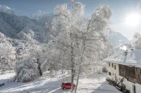 Myalps Pure Hotels in Sautens