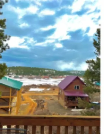 New! Cozy Bear Cabin - Fully Remodeled