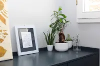 Luce -Exclusive Design Loft in the Heart of Florence