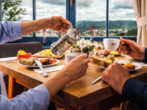 佩特任酒店 尼斯河畔亞布洛內茨酒店