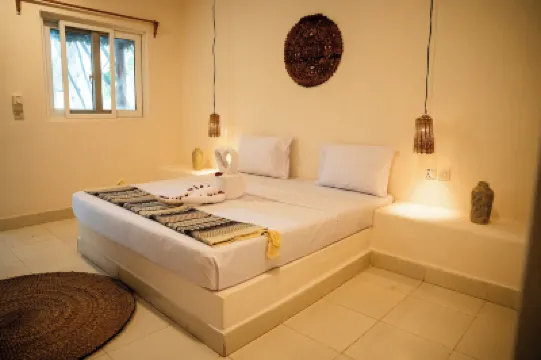 ホステル 197 のホテル