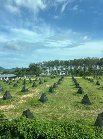 รูปภาพของBangtao Family Villa with Pool