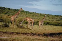 Bunduz Mara