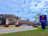 Comfort Inn & Suites Ambassador Bridge Hotels in Windsor
