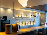 Spa Land Hotel Naito - bar