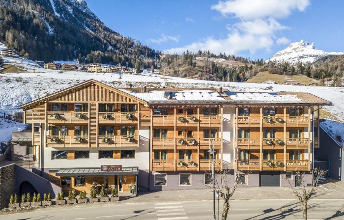 Chalet Aster