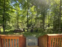 Beautiful log cabin on the Pendleton Creek! - Homestays