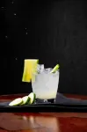 蒙哥馬利會議中心萬麗Spa酒店 - 酒吧
