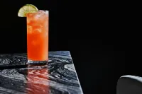 The Westin Indianapolis - bar