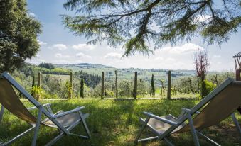 A Path of Relaxation and History Between Vineyards and Olive Trees