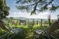 Un percorso di relax e storia tra vigneti e ulivi