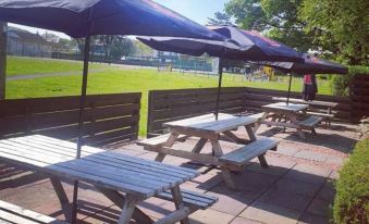a group of picnic tables and umbrellas set up in a park , surrounded by green grass and trees at Uplawmoor