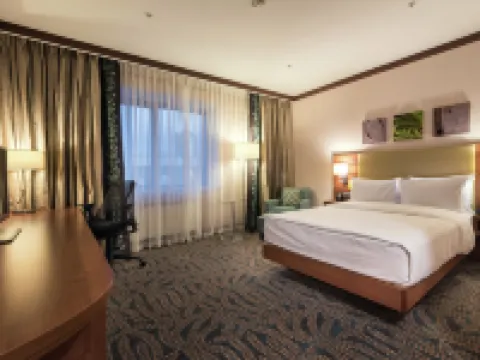 Hilton Garden Inn Astana Hotels in Astana
