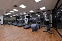 홀리데이 인 호텔 & 스위트 보몬트 플라자 (I-10 & 월든) 바이 IHG - 피트니스 시설