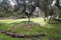 Cute Yellow Handmade House with Garden