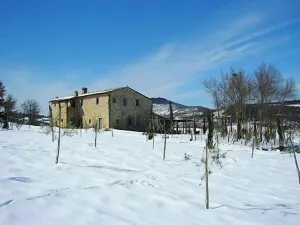 B&B - Podere Monti