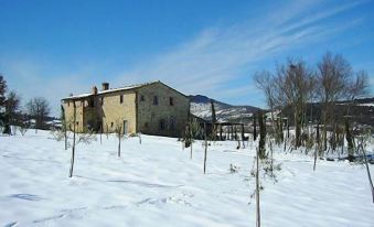 B&B - Podere Monti