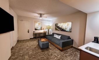 SpringHill Suites Houston Medical Center/NRG Park