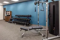 Hampton Inn & Suites by Hilton Avon Indianapolis - Gym