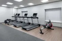 Hampton Inn & Suites by Hilton Avon Indianapolis - Gym