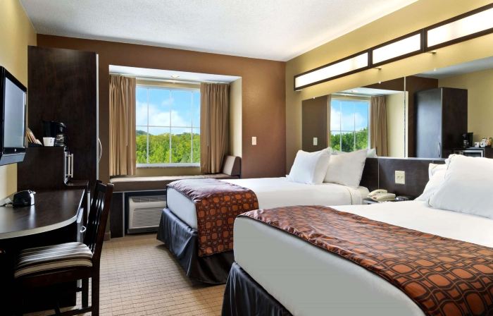 Microtel Inn & Suites by Wyndham Marietta