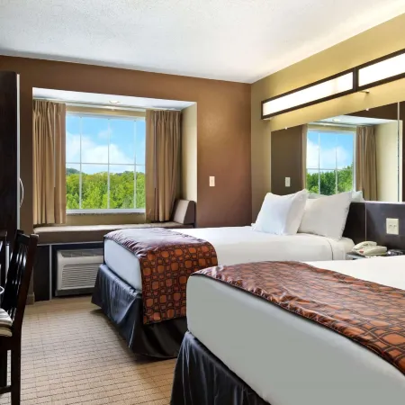 Microtel Inn & Suites by Wyndham Marietta