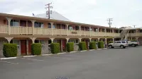 Shelton Inn