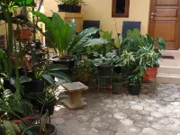 Comfortable Room Near Margocity Depok (P21) Hotels near Margo City