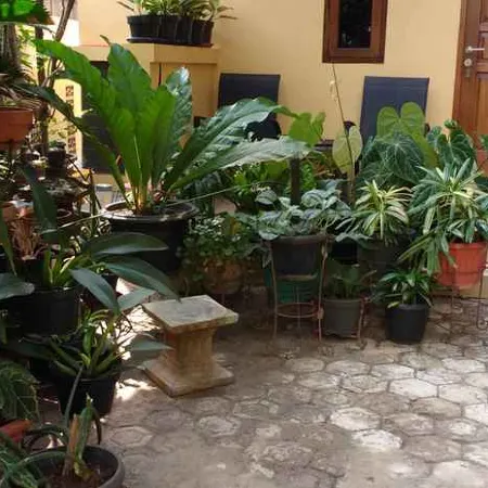 Comfortable Room Near Margocity Depok (P21)