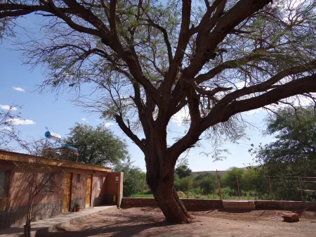 Inti & Killa Hostal Отели рядом с достопримечательностью «Caracoles 419d, San Pedro de Atacama»