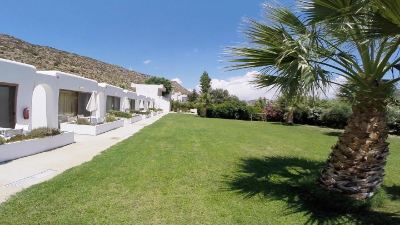 a grassy yard with a palm tree and several chairs in the background , creating a serene outdoor setting at Valley Village