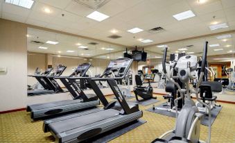 a well - equipped gym with various exercise equipment , including treadmills and weight machines , in a spacious room at Best Western Plus Chicago Hillside