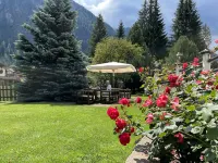 B&B Garni Villa Campitello Hotel di Campitello di Fassa