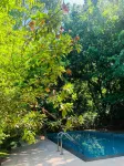 Tree House Hotel Hotels in Sisaket