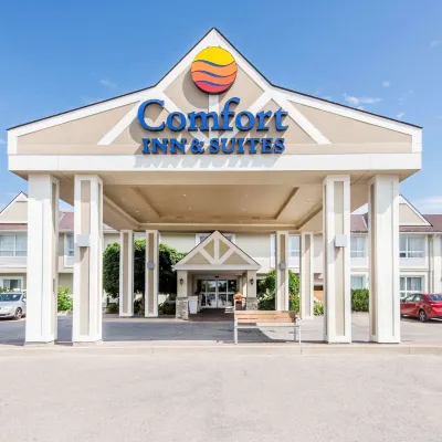 Comfort Inn & Suites Hotels near Plunge Aquatic Centre